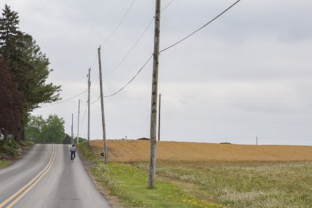 De Amish bezitten geen gemotoriseerd vervoer